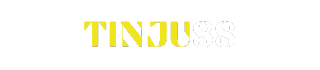 Tinju88